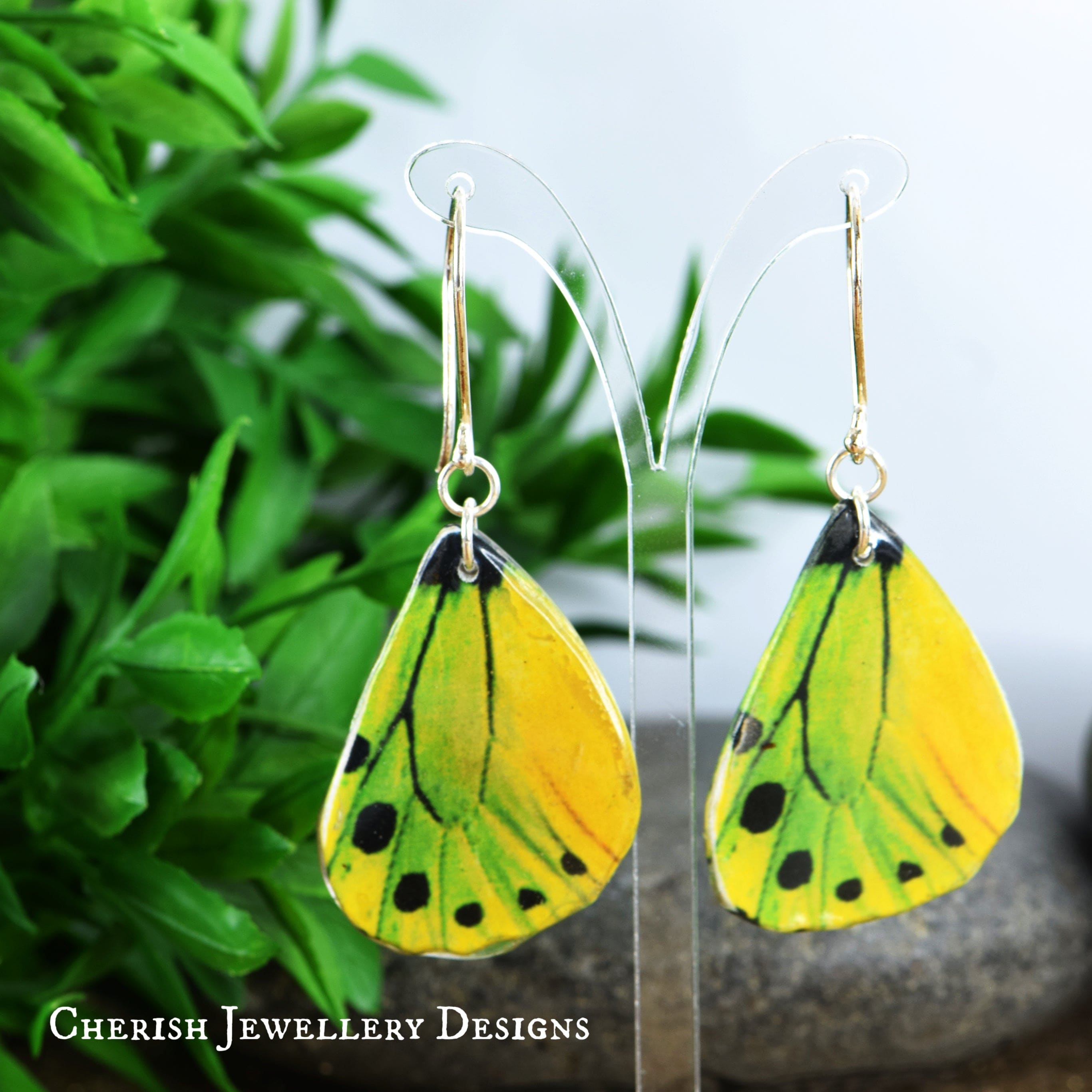 Birdwing Butterfly Earrings